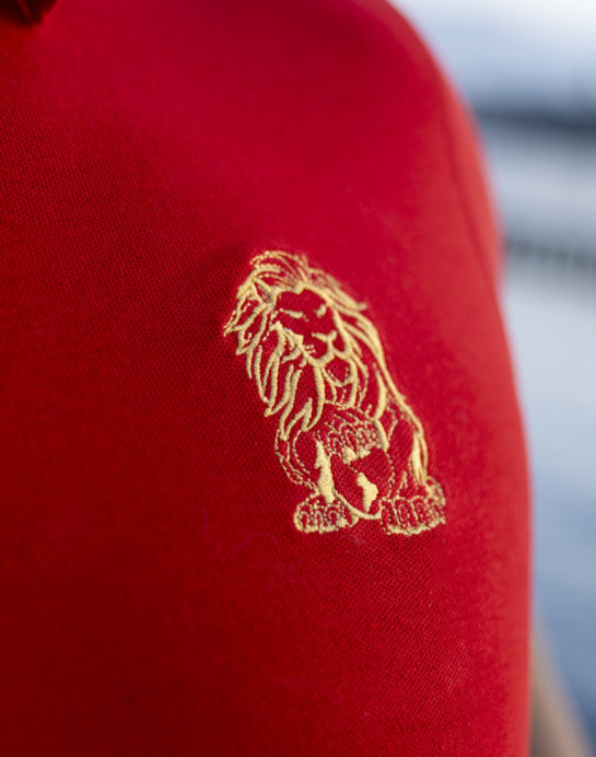Men Polo Cotton - Image 4
