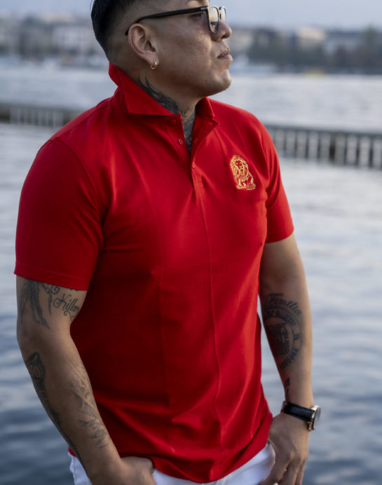 Men Polo Cotton - Image 3